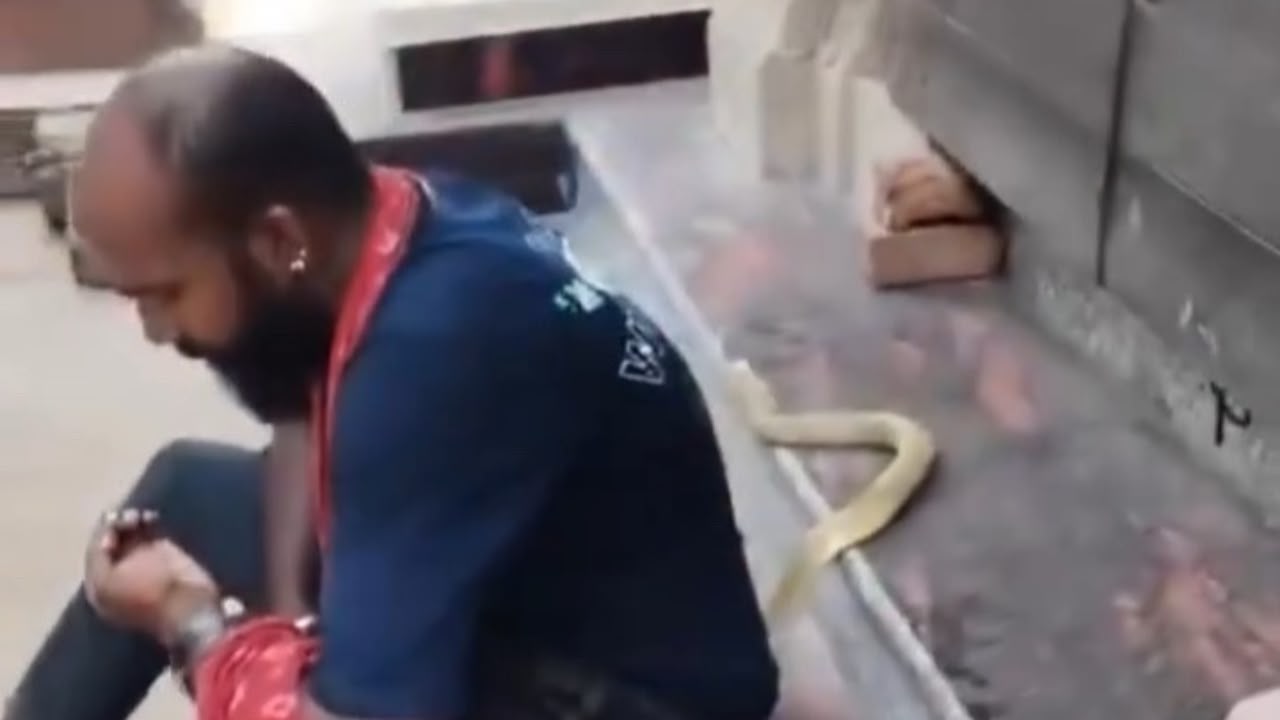 Imagem Notícia