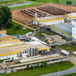 Ranking revela as...