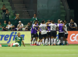 Botafogo venceu o Palmeiras pelo Brasileirão (Foto: Joisel Amaral/AGIF)